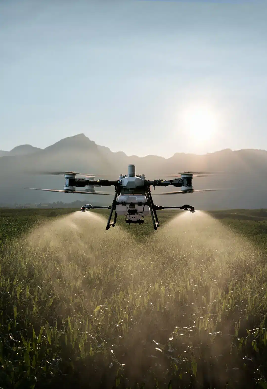 DJI AGRAS T100 operando sobre un cultivo