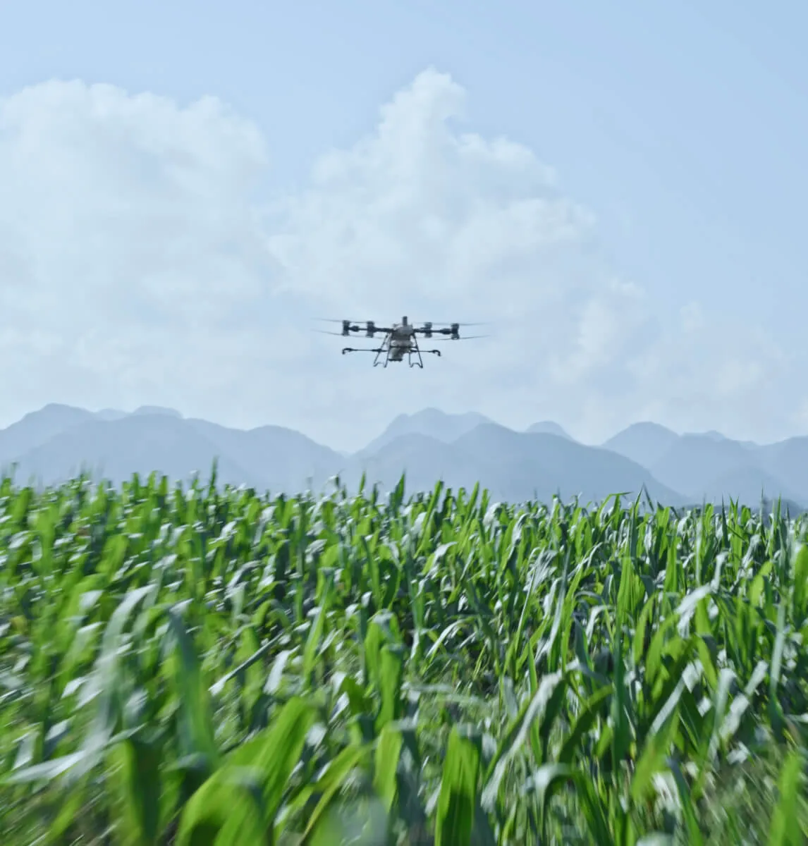 Dron agrícola sobre campo de cultivo